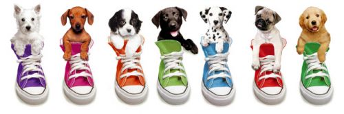 Chaussures de tennis homme - Ref 965930