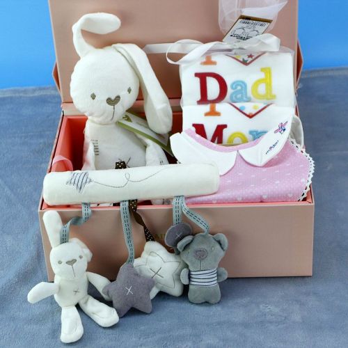 Coffret cadeau pour bébé - Vêtements + Fournitures Ref 1951115