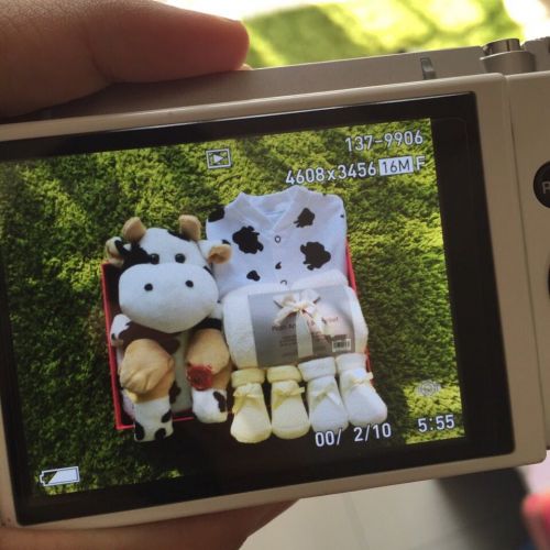 Coffret cadeau pour nouveau-né - Vêtements + Fournitures BABYBUS Ref 1951282