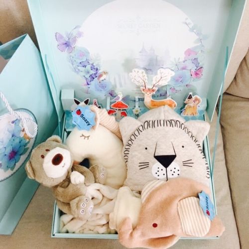 Coffret cadeau pour nouveau-né - Vêtements + Fournitures Ref 1952177