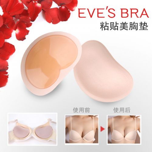 Coques pour soutien-gorge - Ref 810503