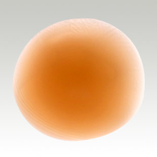  Coques pour soutien-gorge ASHPIKA - Ref 812265