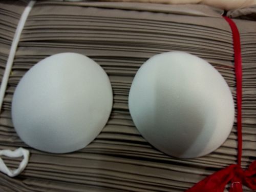 Coques pour soutien-gorge - Ref 817564