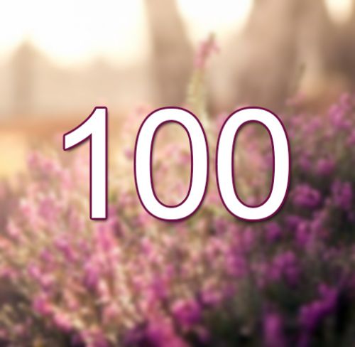 Corset amincissant ANTINIYA - Ref 690739