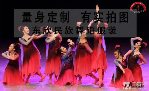 Costume de danse sud américaine pour femme - Ref 2906654