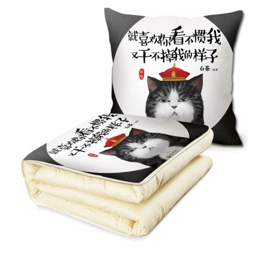 Coussin Manga en peluche - Ref 2684635