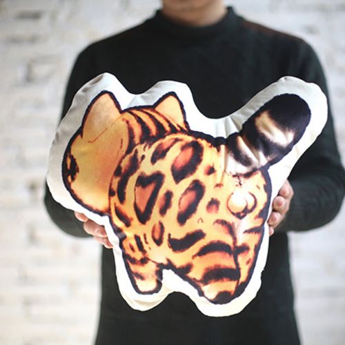 Coussin Manga - Ref 2684642