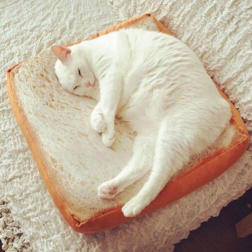 Coussin Manga en peluche - Ref 2684685
