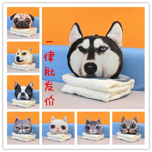 Coussin Manga - Ref 2684901