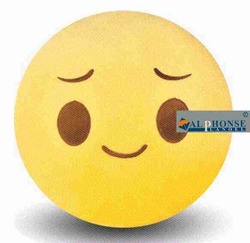 Coussin Manga en peluche - Ref 2685313