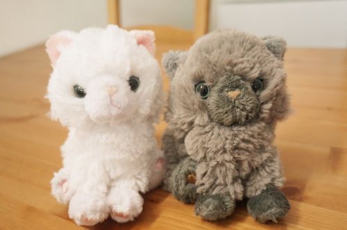 Coussin Manga en peluche - Ref 2685408