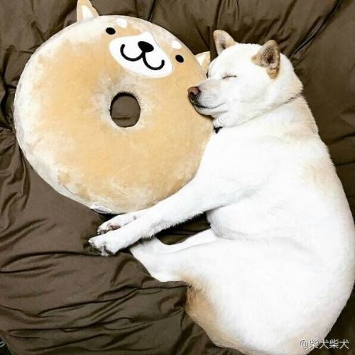 Coussin Manga - Ref 2686101