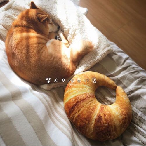 Coussin Manga - Ref 2686762