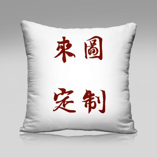 Coussin Manga - Ref 2687531