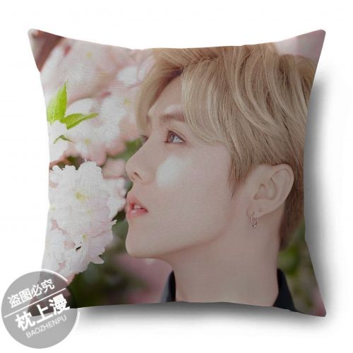 Coussin Manga en tissu - Ref 2687539