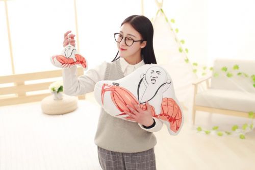 Coussin Manga en peluche - Ref 2687827