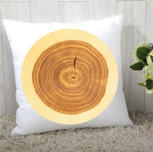 Coussin Manga - Ref 2687953