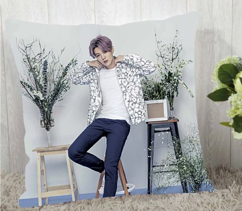 Coussin Manga - Ref 2687973