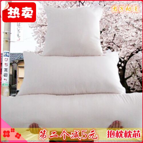 Coussin Manga - Ref 2688740