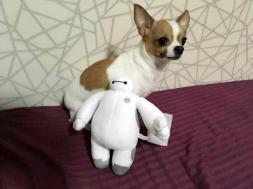 Coussin Manga - Ref 2689347