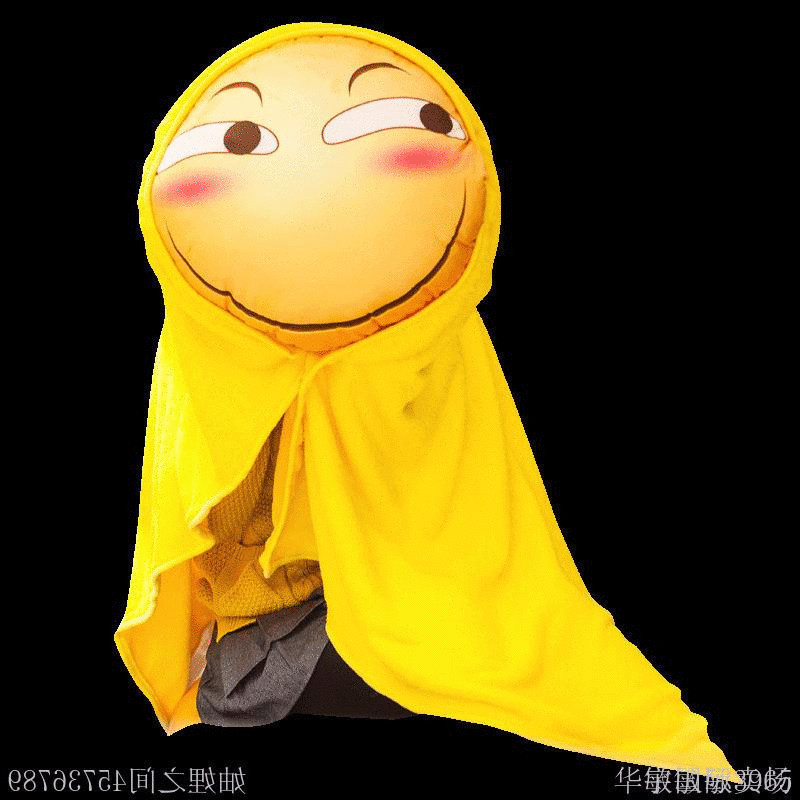 Coussin Manga - Ref 2689980