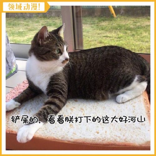 Coussin Manga OTHER en peluche - Ref 2690010