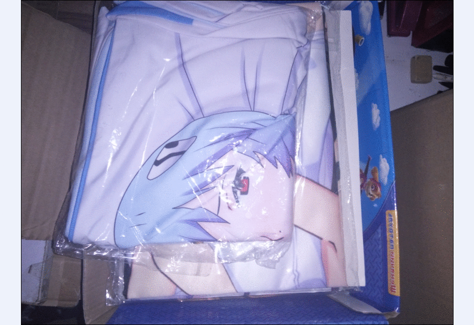 Coussin Manga - Ref 2690018