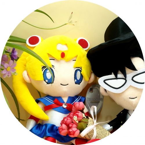 Coussin Manga - Ref 2690050
