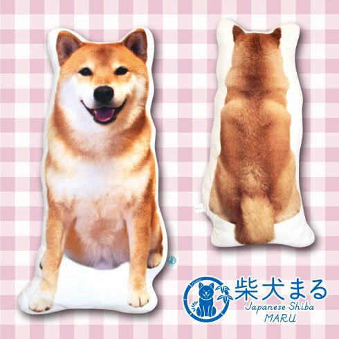 Coussin Manga - Ref 2690203