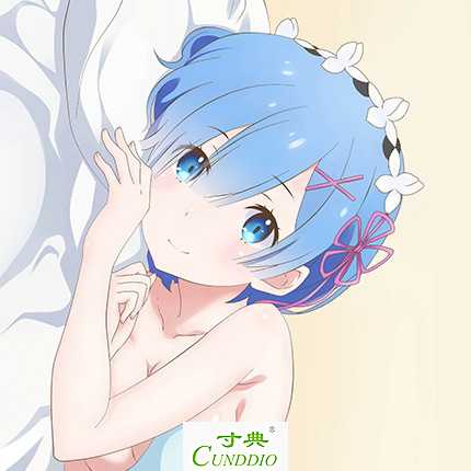 Coussin Manga - Ref 2690487