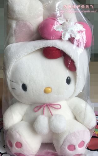 Coussin Manga - Ref 2690698