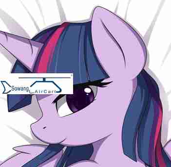 Coussin Manga - Ref 2690929