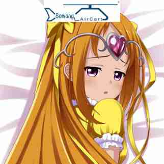 Coussin Manga - Ref 2690936