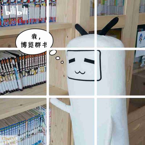 Coussin Manga BILIBILI en peluche - Ref 2691969