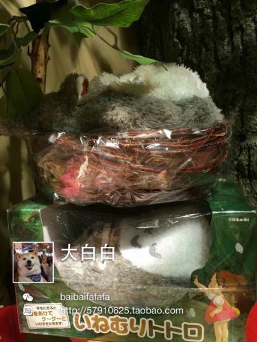 Coussin Manga - Ref 2692215