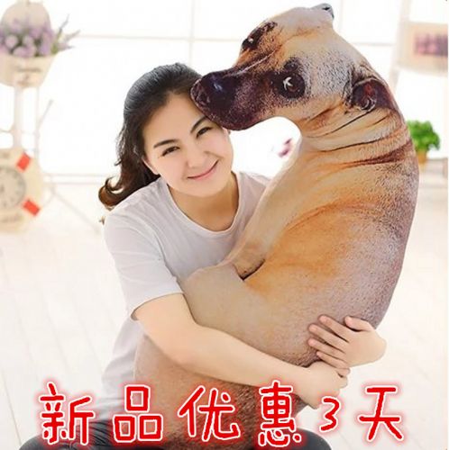 Coussin Manga - Ref 2692250