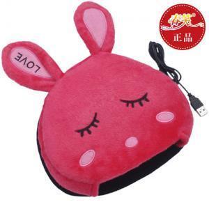 Coussin chauffant USB - Ref 422438