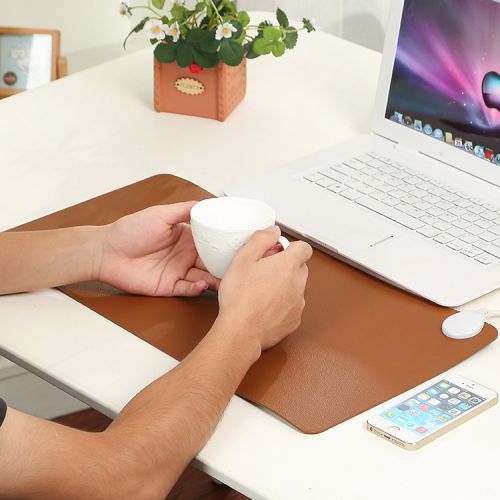 Coussin chauffant USB - Ref 422848