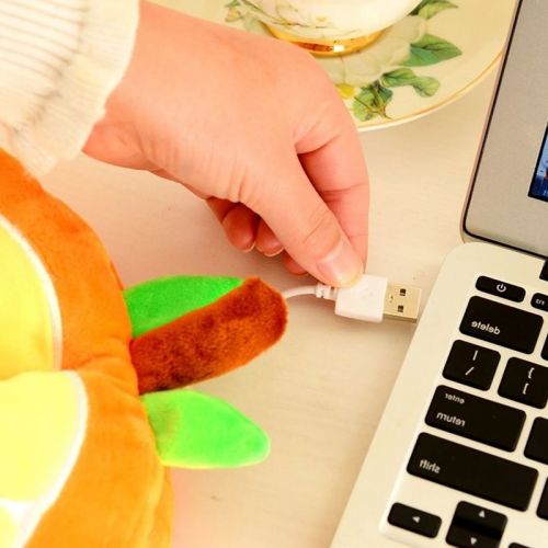 Coussin chauffant USB - Ref 423808
