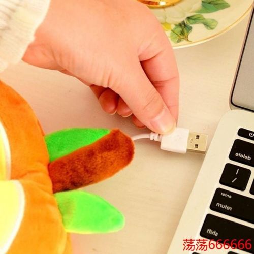Coussin chauffant USB - Ref 424690