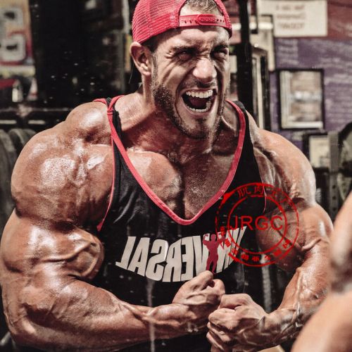 Débardeur homme maillot de corps - Ref 1582765