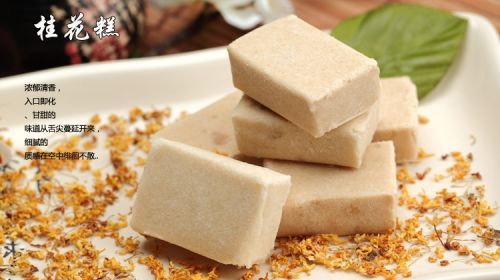 Débardeur homme Woolen gilet - Ref 1589791