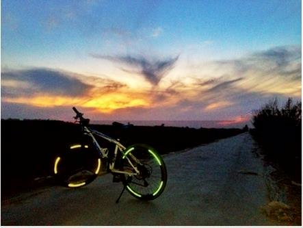 Déco pour vélo - Ref 2276782