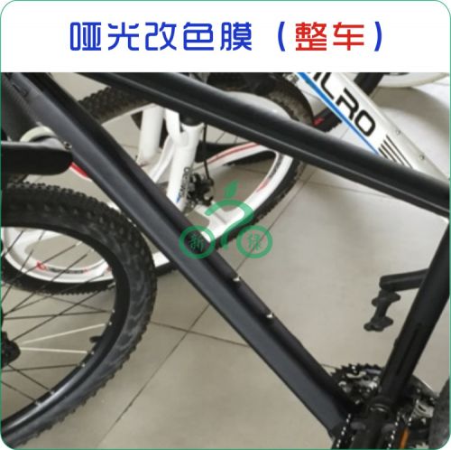 Déco pour vélo - Ref 2278959