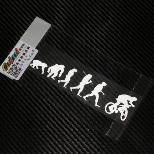 Déco pour vélo CUICUI - Ref 2292981