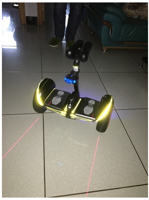 Décoration pour vélo - Ref 2275886