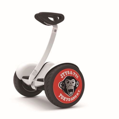 Décoration pour vélo - Ref 2280447