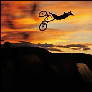 Décoration pour vélo - Ref 2281301