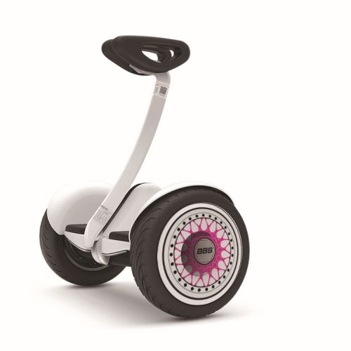 Décoration pour vélo - Ref 2282113