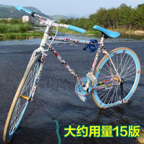 Décoration pour vélo - Ref 2283080